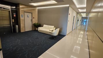 A modern lobby with a dark patterned carpet, a white sofa, a potted plant, and an elevator.