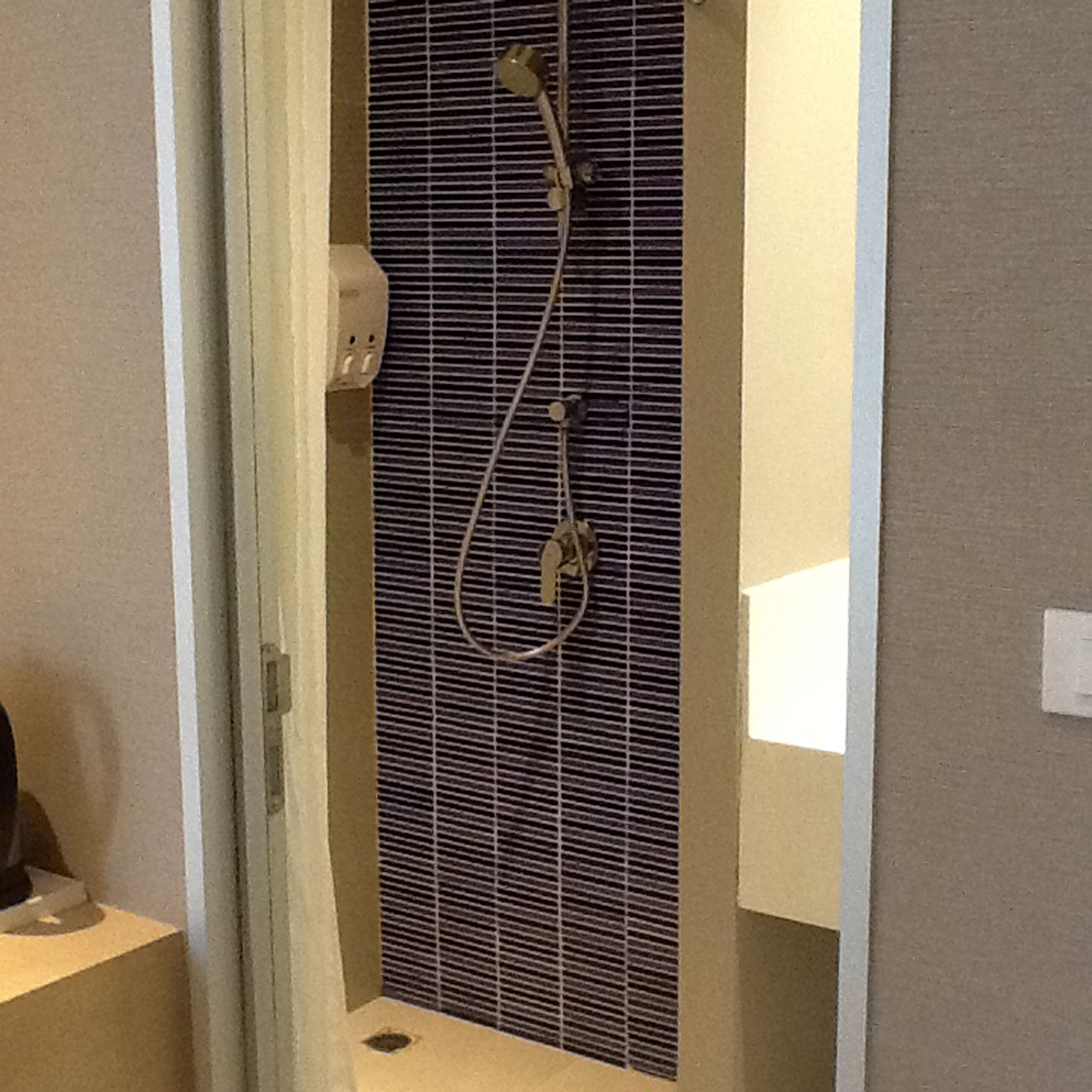 superior room | bathroom shower