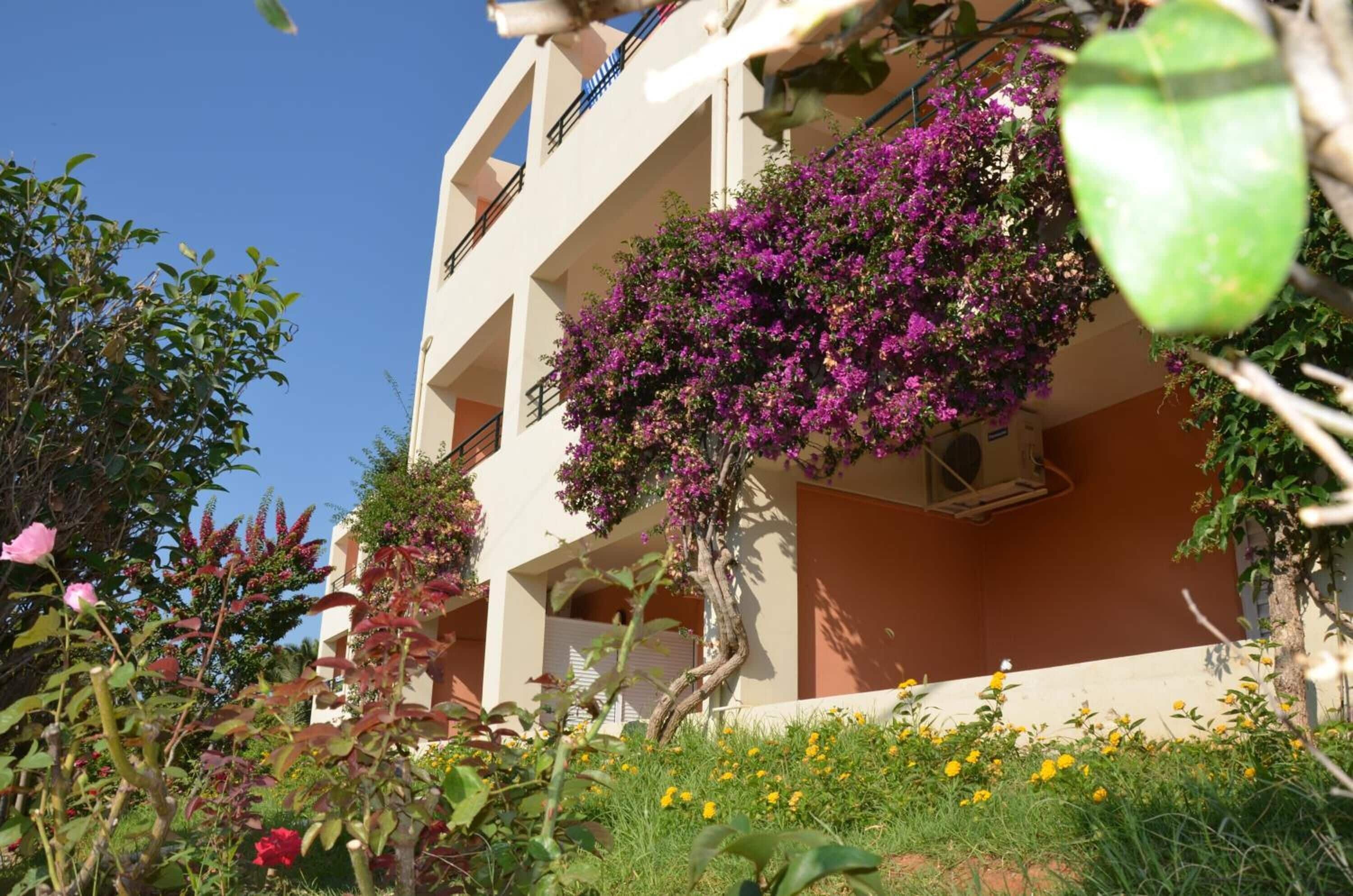 1 bedroom, premium bedding, blackout curtains, free wifi