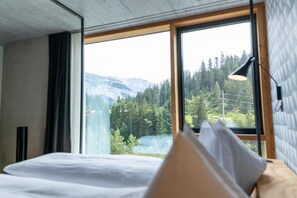 Basic Double Room | Free WiFi - Riders Hotel (Laax)