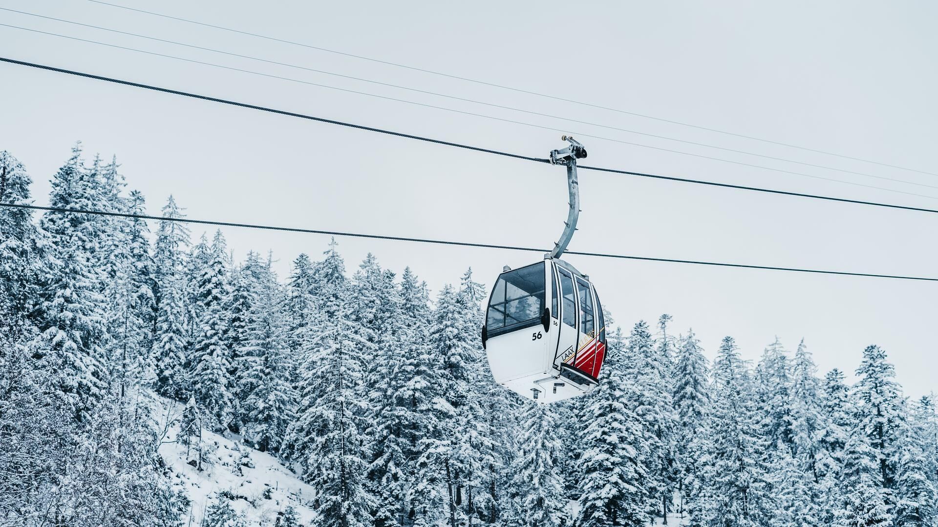 A cable car moving over a snowy forest.