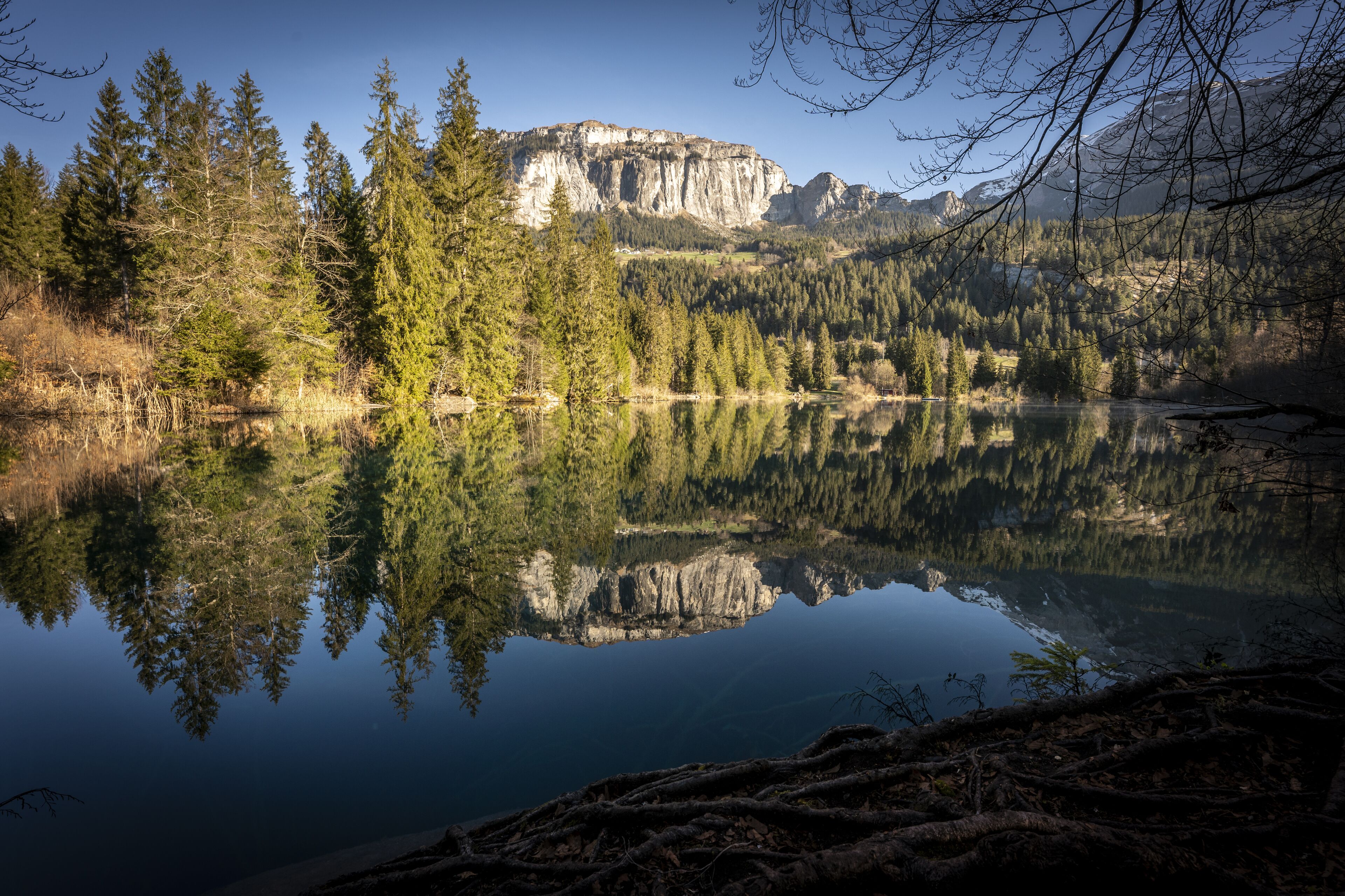 A calm lake reflecting trees and a cliff.