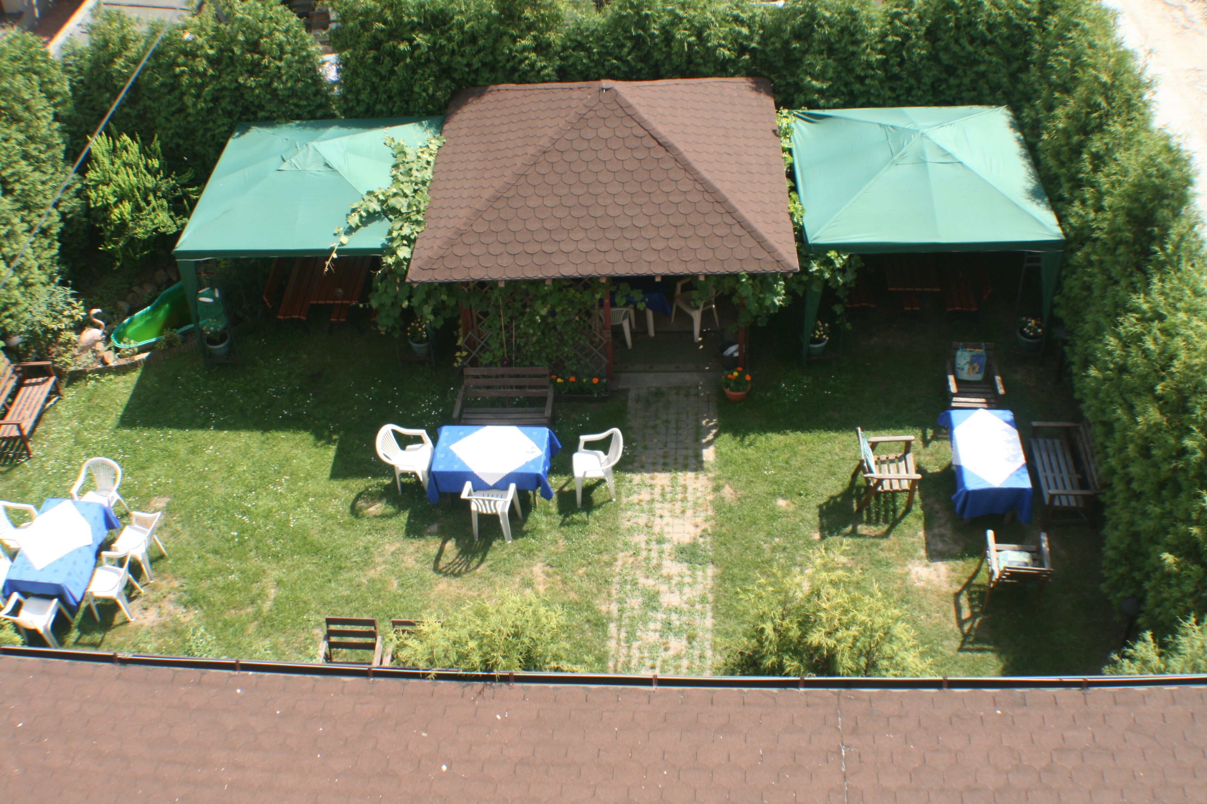 Foto - Hotel Daisy Budget