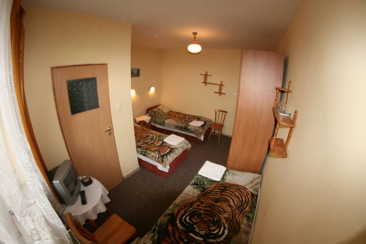Zimmersafe, Zustellbetten, kostenloses WLAN, Bettwäsche
