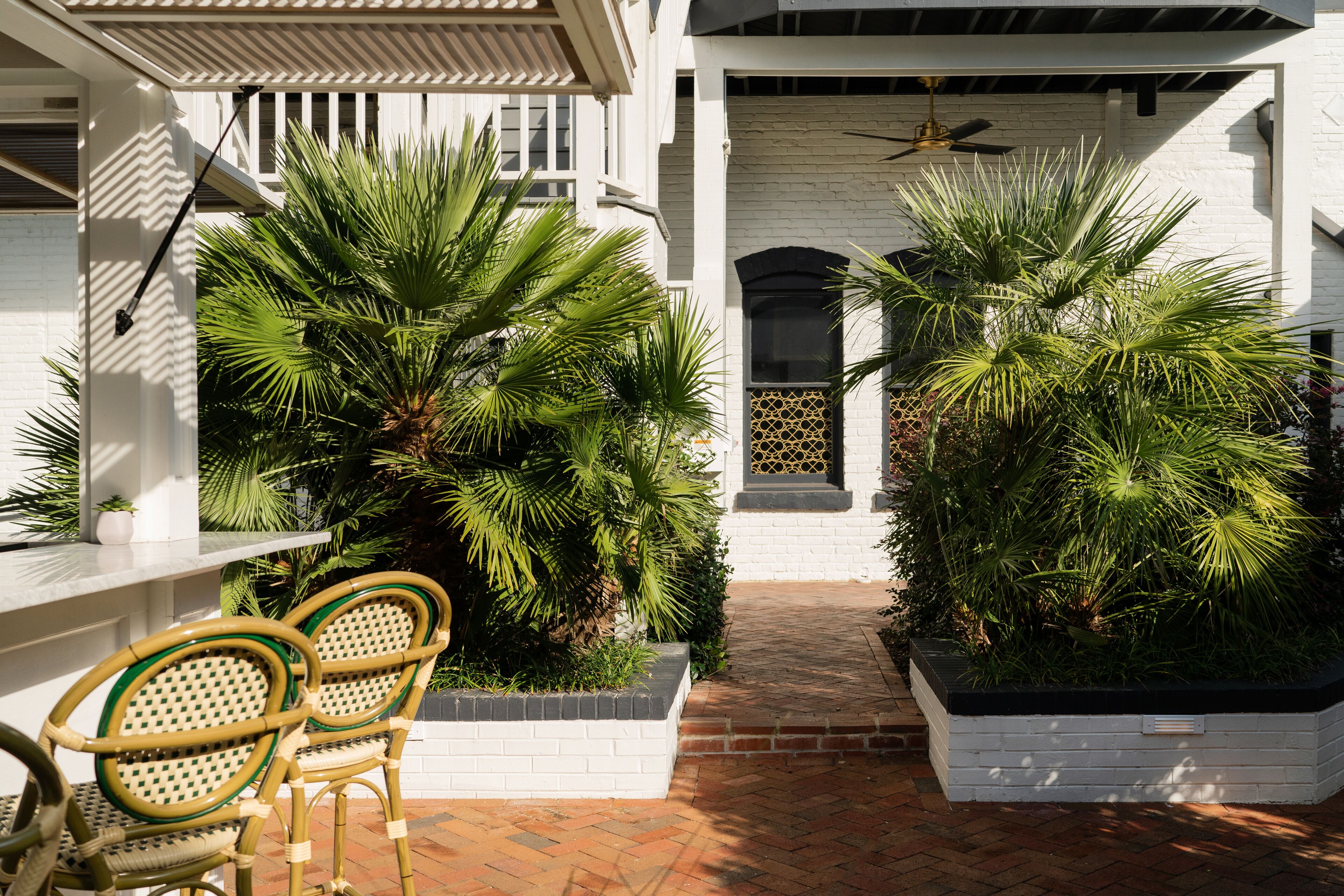 A courtyard with two wicker chairs, white brick walls, and large green plants.