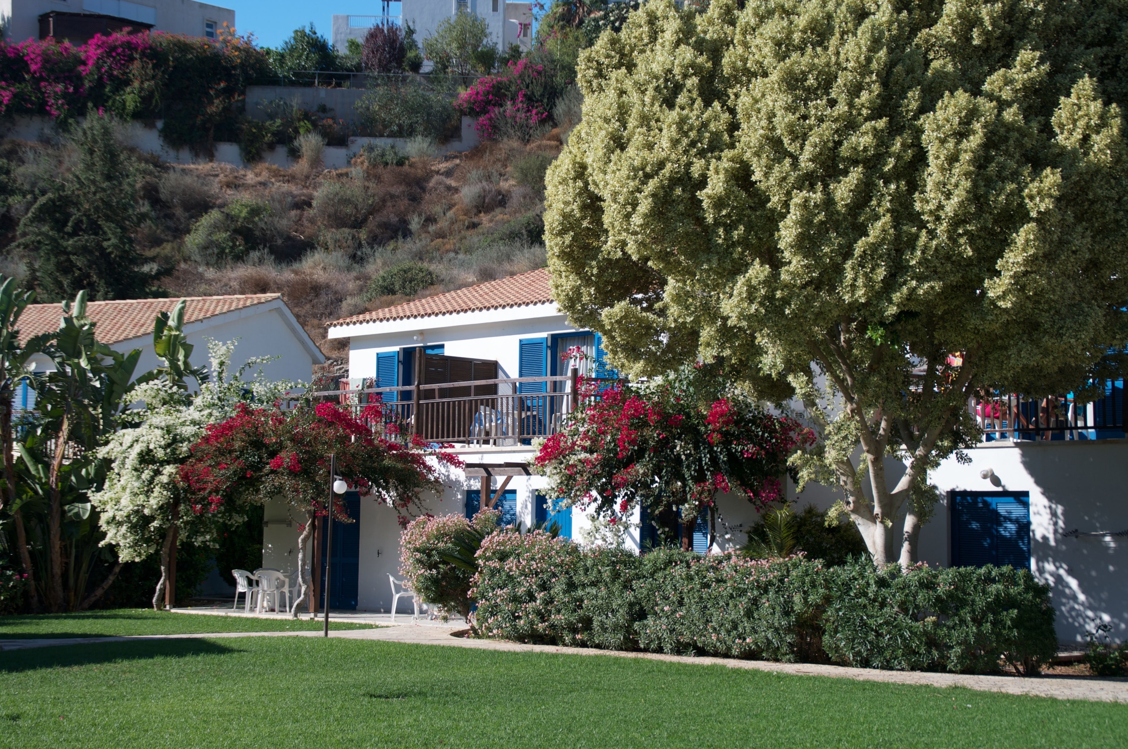 A white building with blue shutters and a balcony, surrounded by well-maintained greenery and flowering plants.