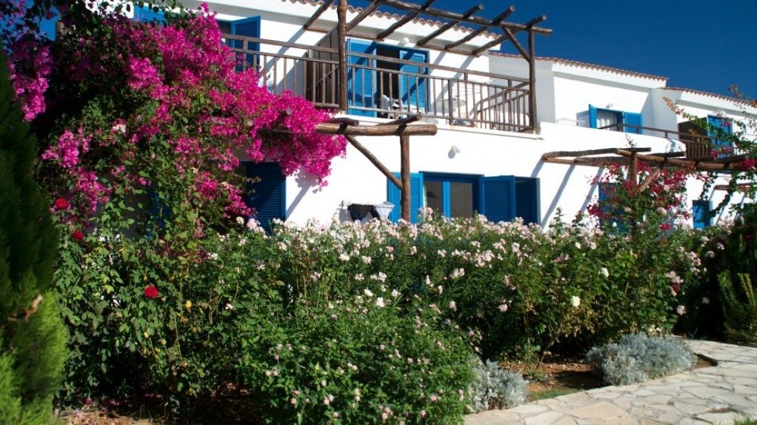 Un bâtiment blanc avec des volets bleus et une pergola en bois ornée de bougainvilliers roses.