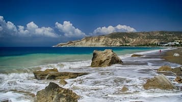 근처 전용 해변