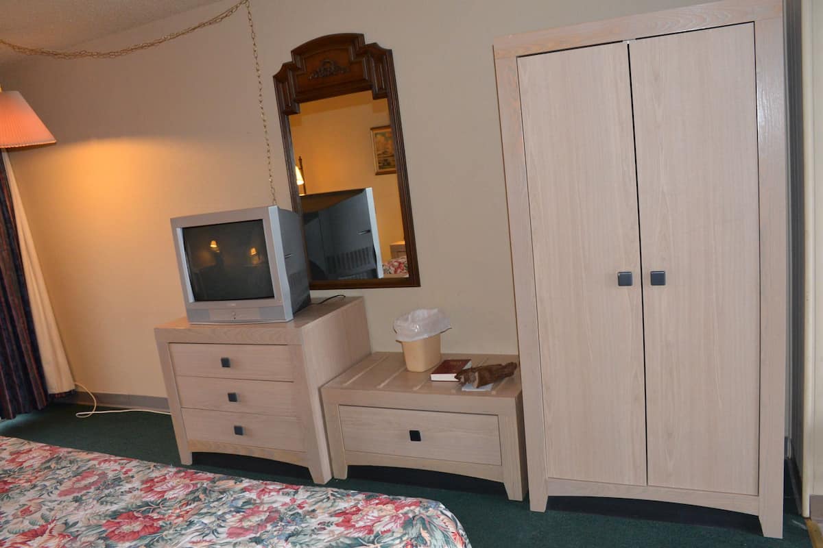 Single Room | Iron/ironing board (on request), WiFi (free)