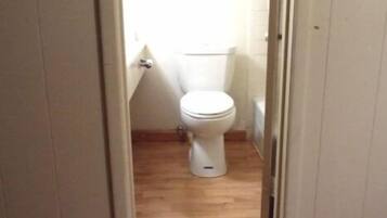 Kombinasi shower/bathtub dan pengering rambut