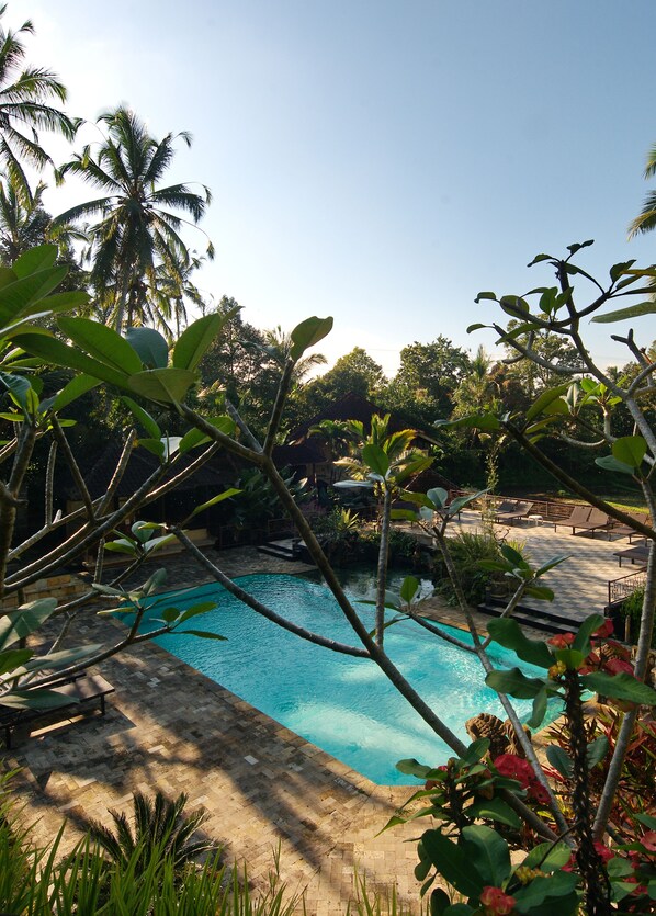 Un área de piscina con sillones reclinables y vistas a palmeras.