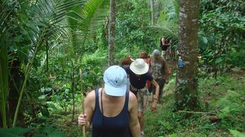 A group of people hiking through a dense forest with tall trees and thick underbrush.
