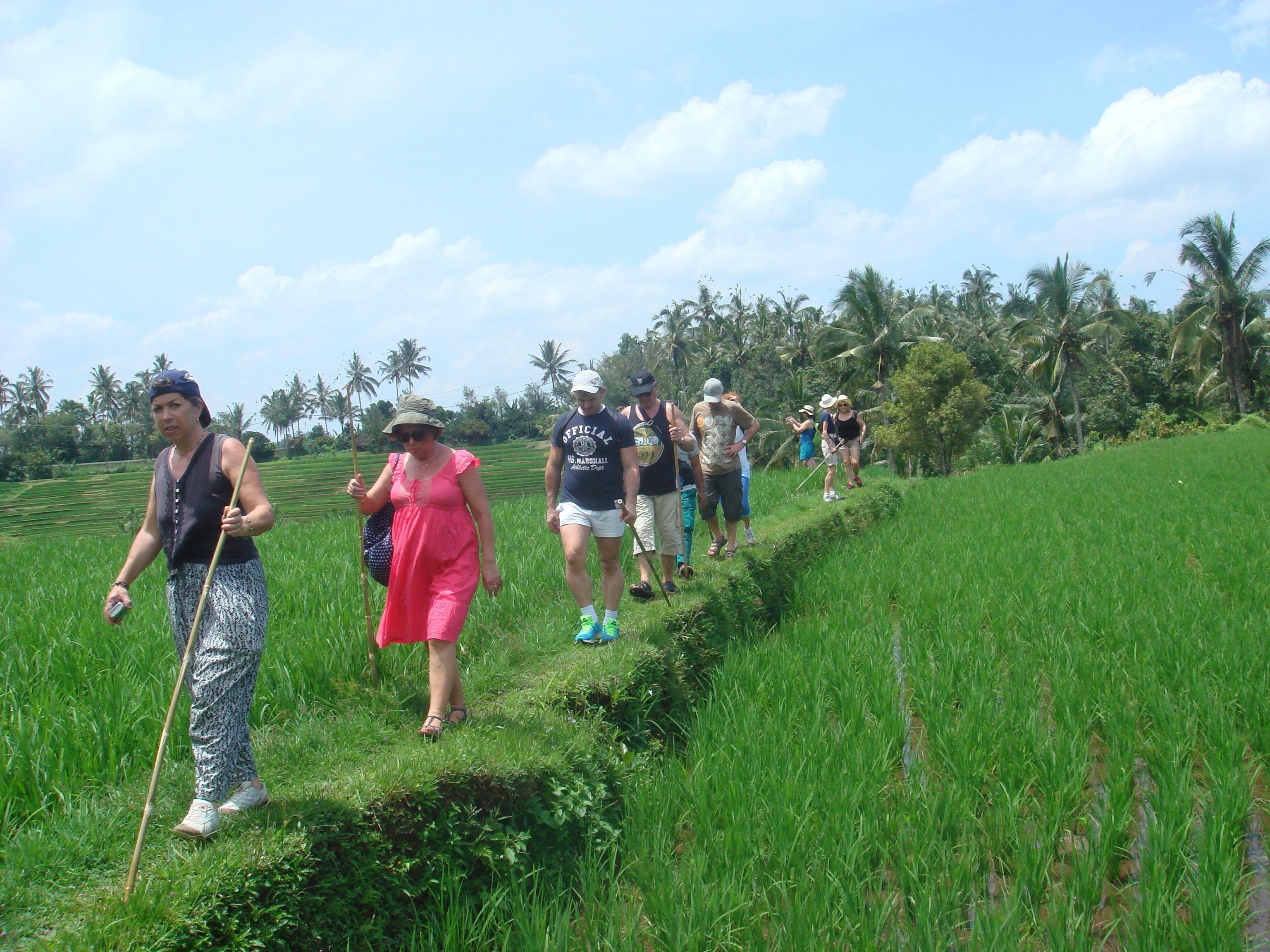 Un grupo de personas caminando por un campo verde exuberante con palmeras al fondo.
