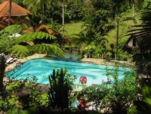 Outdoor pool - Cempaka Belimbing Villas (Pupuan)