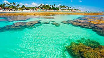 Plage à proximité