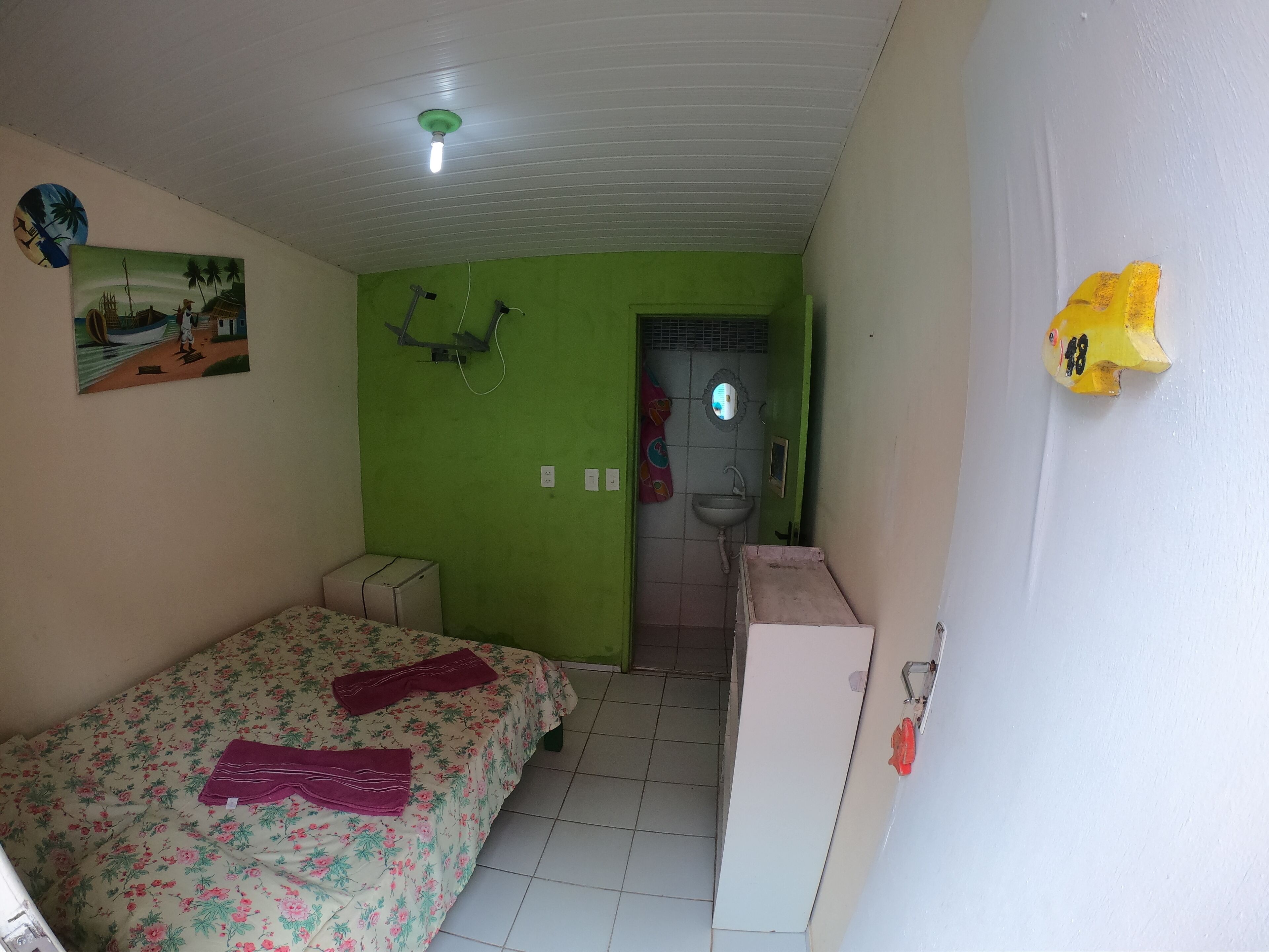 A small, single-room accommodation with a bed, a small desk, a green wall, a ceiling fan, and a bathroom with a sink and mirror.