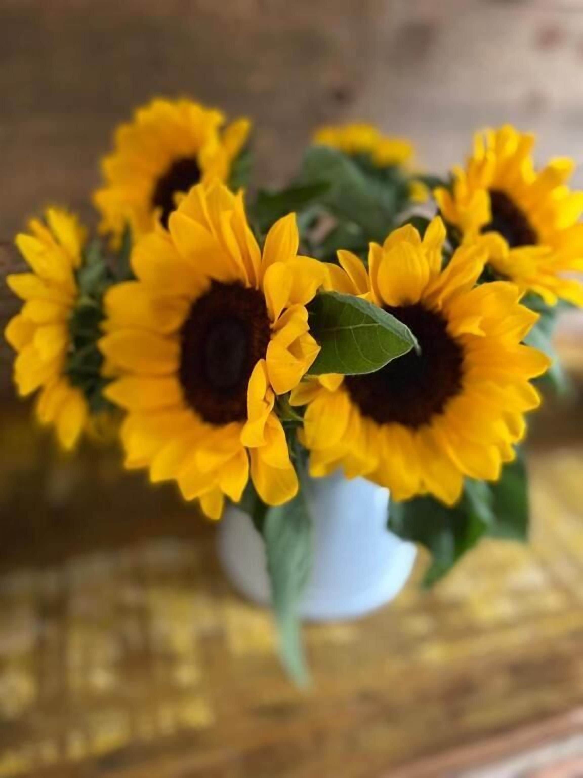 A bouquet of sunflowers in a white vase.
