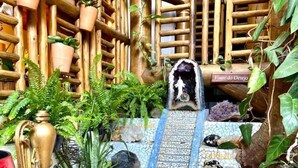 A small indoor garden with a water feature, wooden lattice walls, and various plants. - Pousada João Sol (Mata de São João)