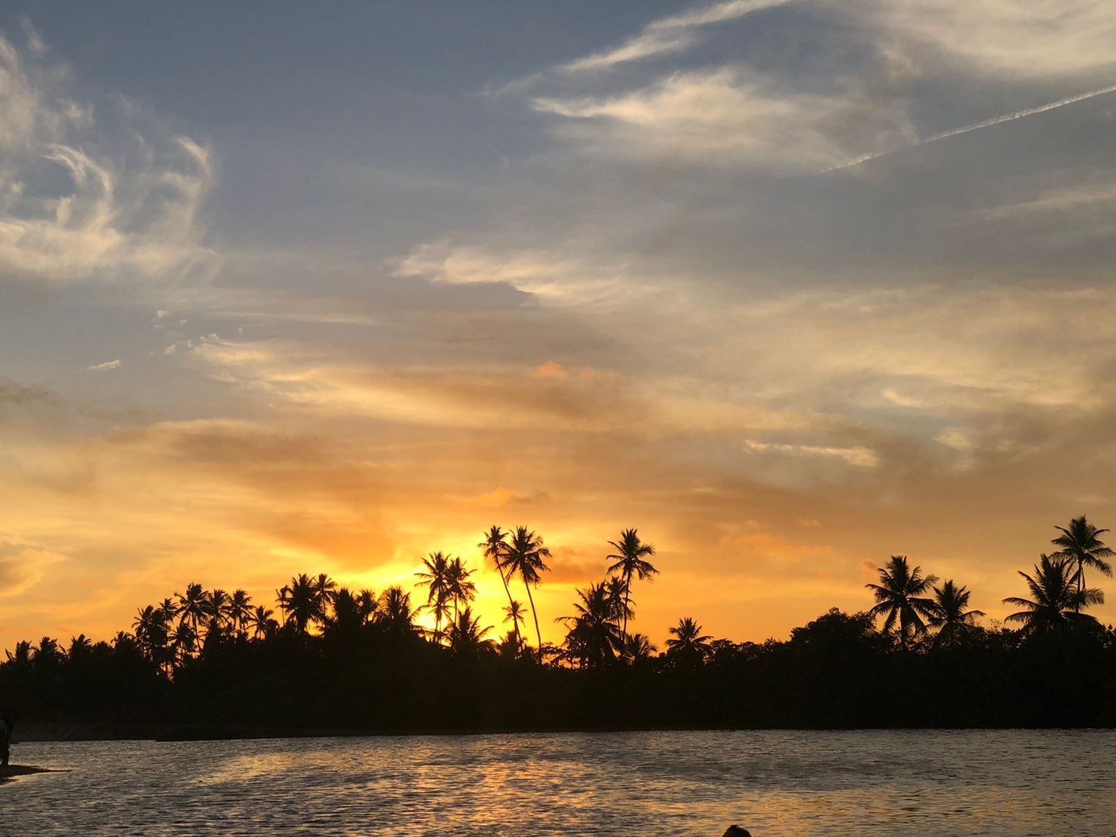 Un coucher de soleil sur une étendue d’eau, avec des palmiers se découpant en silhouette sur le ciel.