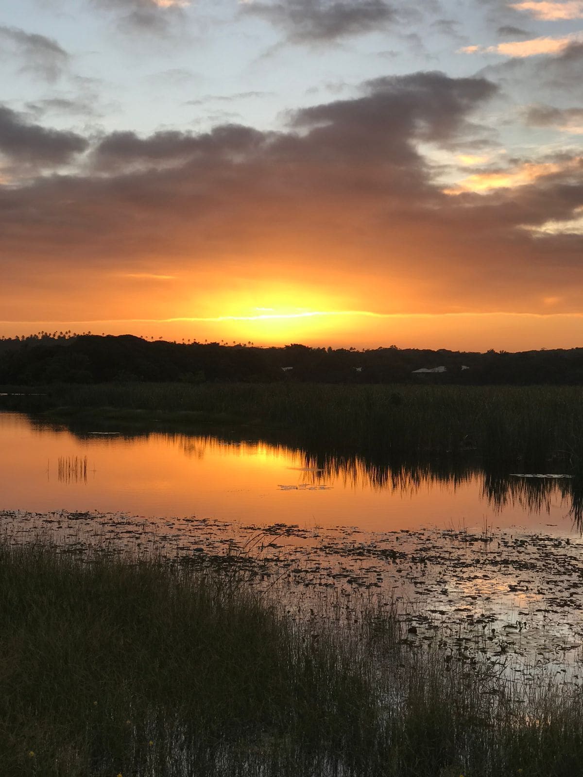 Foto - Pousada Tatuapara