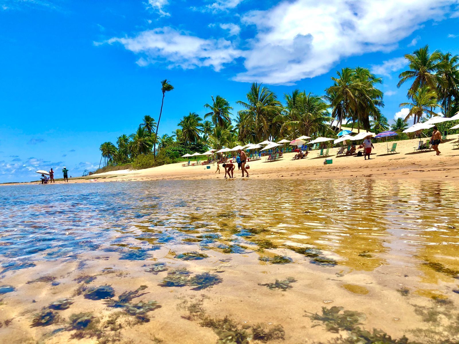 Photo - Pousada Tatuapara