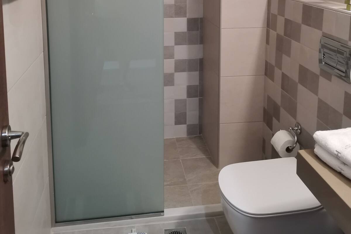 シャワー、ヘアドライヤー、タオル、トイレットペーパー