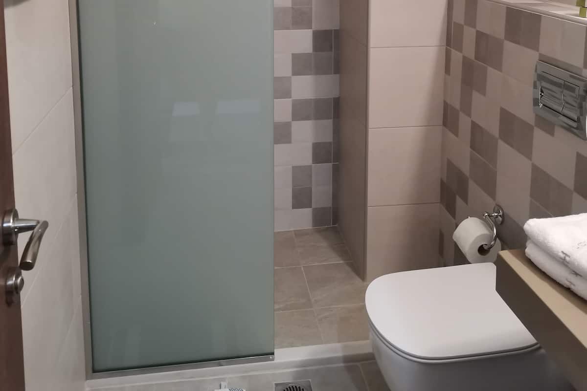 Douche, sèche-cheveux, serviettes fournies, papier toilette