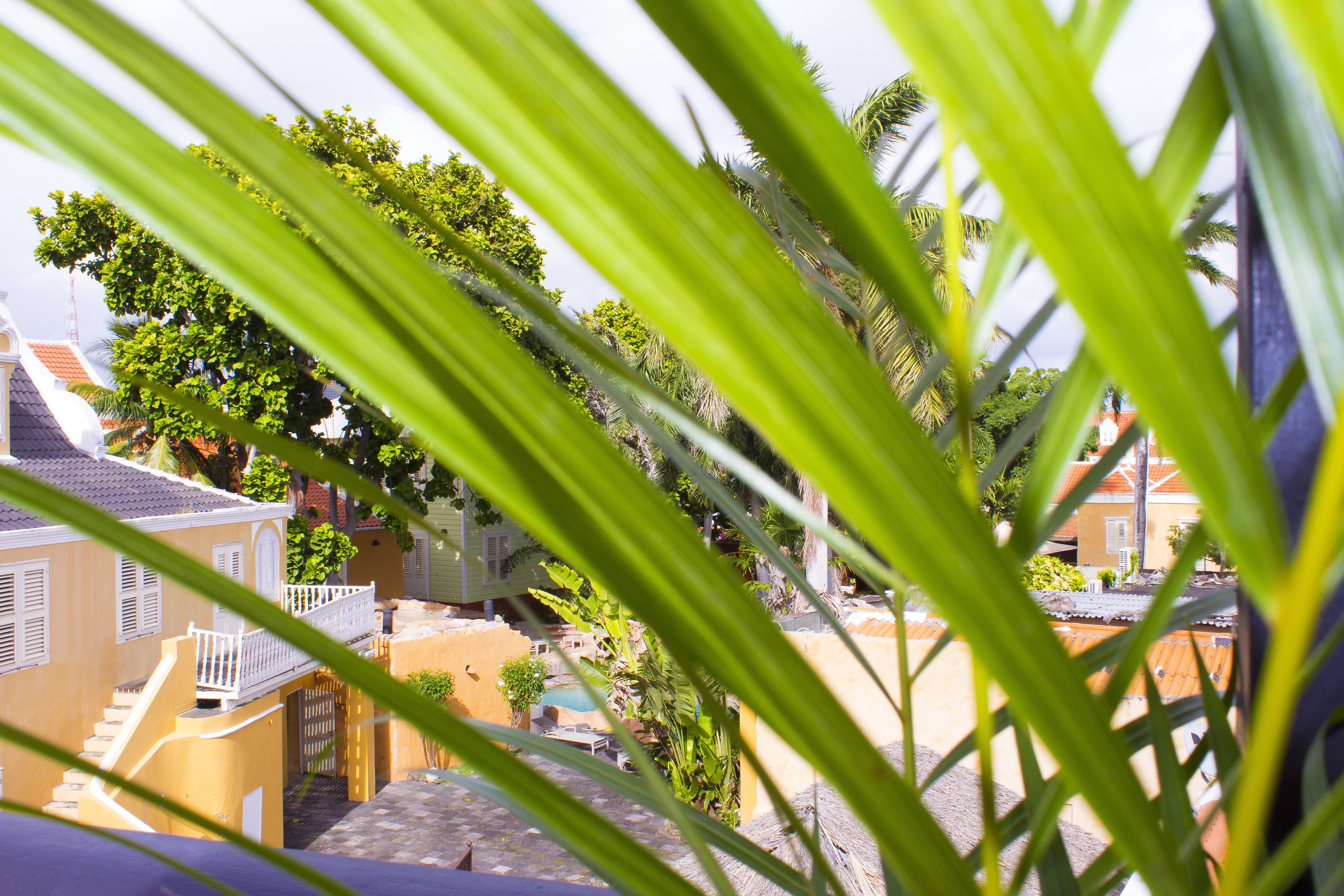 Un patio con piscina, palmeras y una escalera que lleva a un balcón.