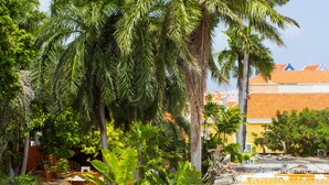 Zona de piscina con escalones que bajan hacia una fuente rodeada de palmeras y plantas tropicales.