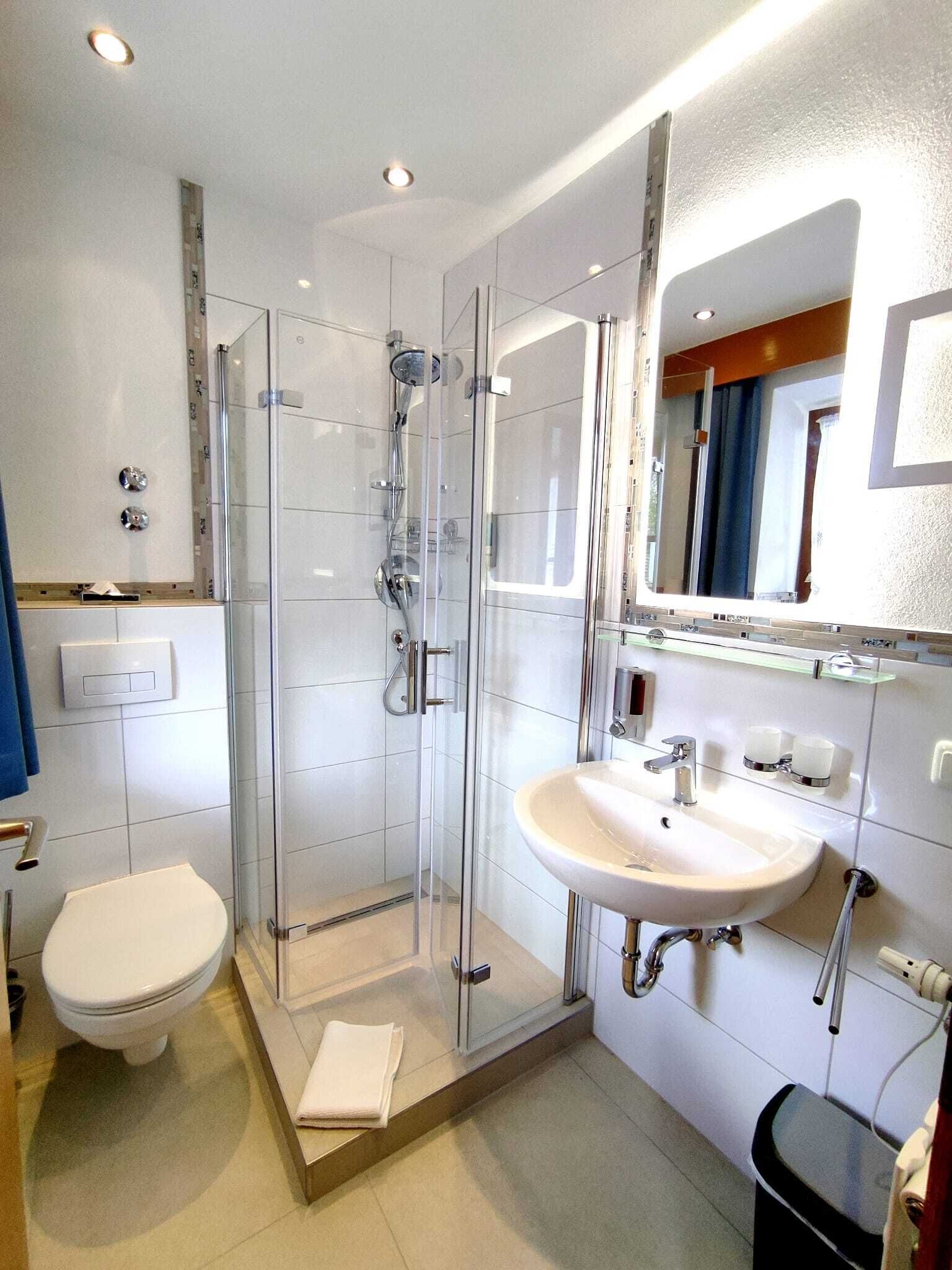 A modern bathroom with a glass-enclosed shower, a white sink, and a toilet.