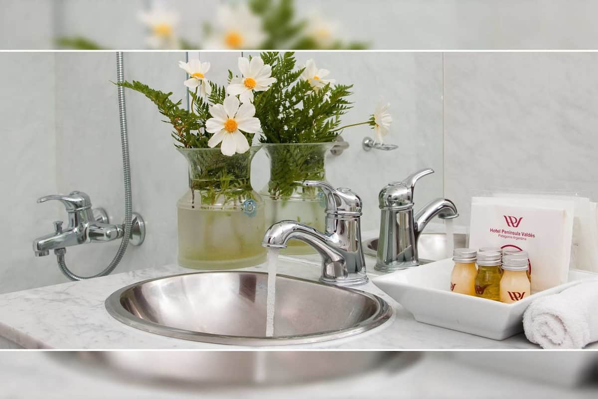 combined shower/bathtub, free toiletries, hair dryer, bidet