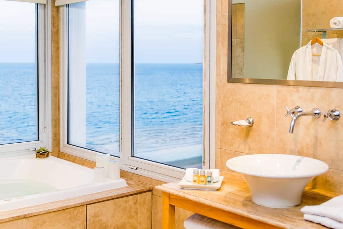 combined shower/bathtub, free toiletries, hair dryer, bidet