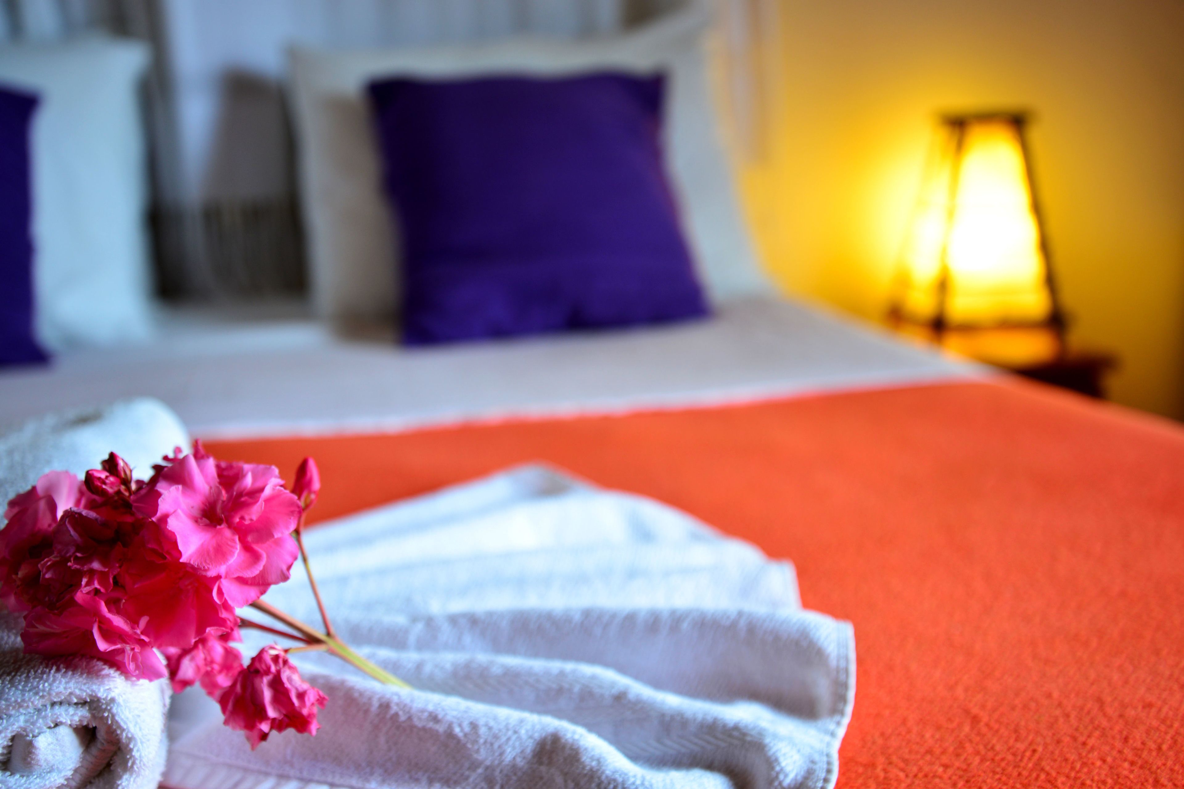 A neatly made bed with white linens and a purple pillow, a lamp on a bedside table, and a bouquet of pink flowers on the bed.