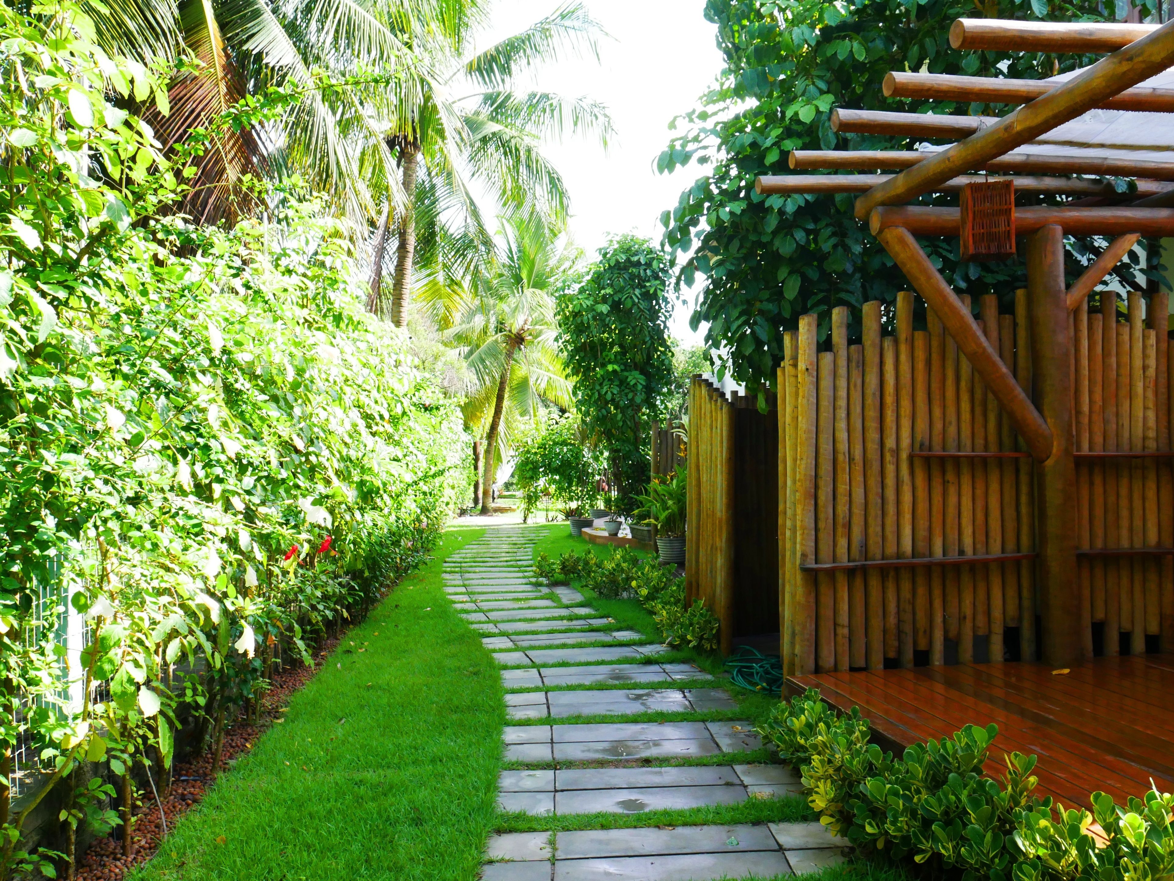 Photo - Pousada Enseada Dos Golfinhos