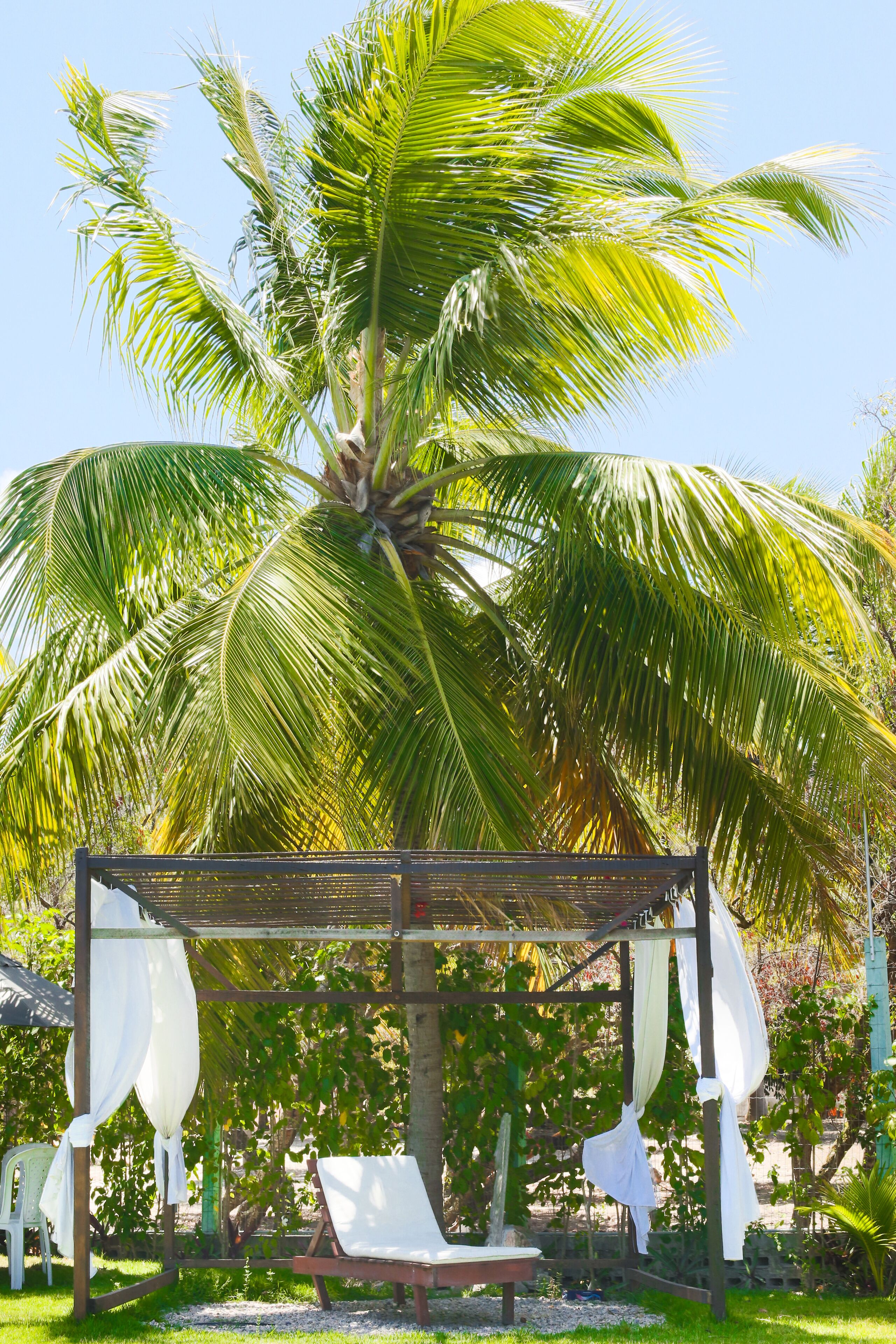 Foto - Pousada Enseada Dos Golfinhos