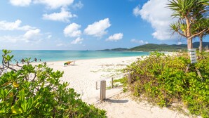 Ein Strand mit einer Holzpromenade, die zum Ufer führt, umgeben von viel Grün und blauem Himmel.