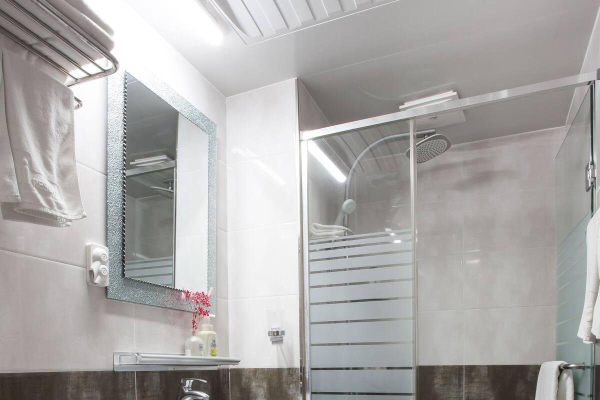 standard double room | bathroom | shower, rainfall showerhead, hair dryer, bidet