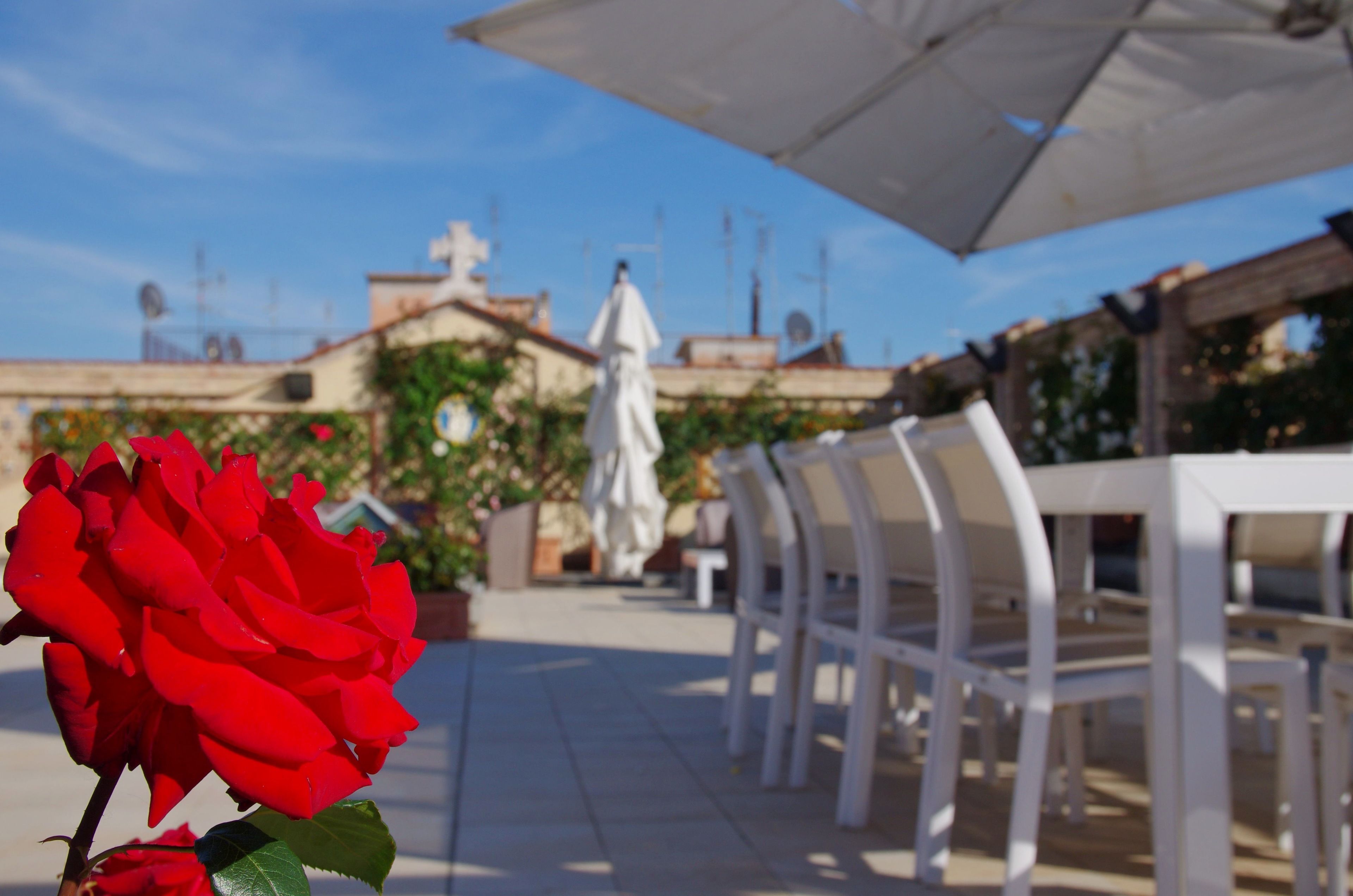 Photo - Domus Australia