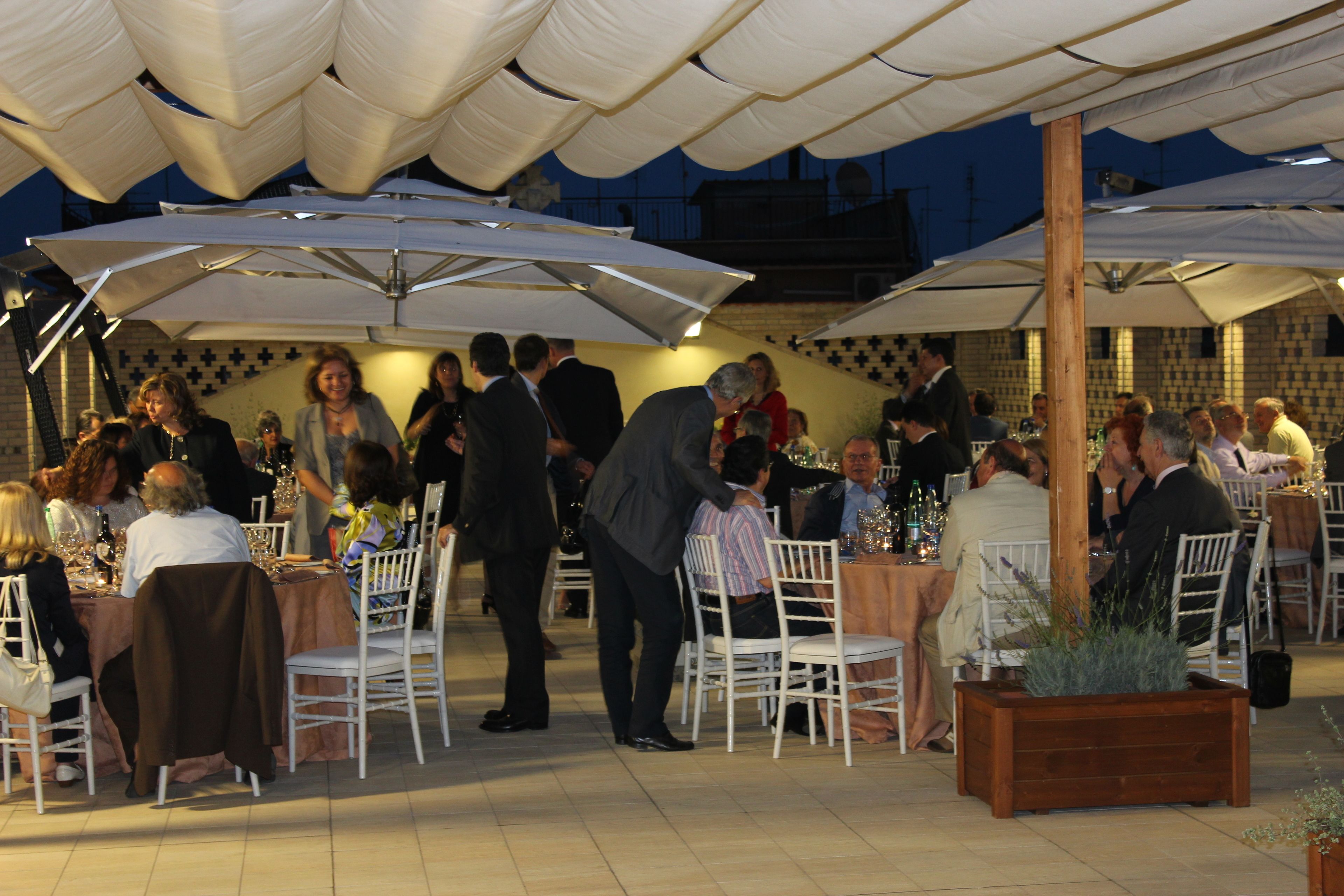 Photo - Domus Australia