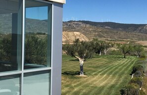 Vista desde la habitación