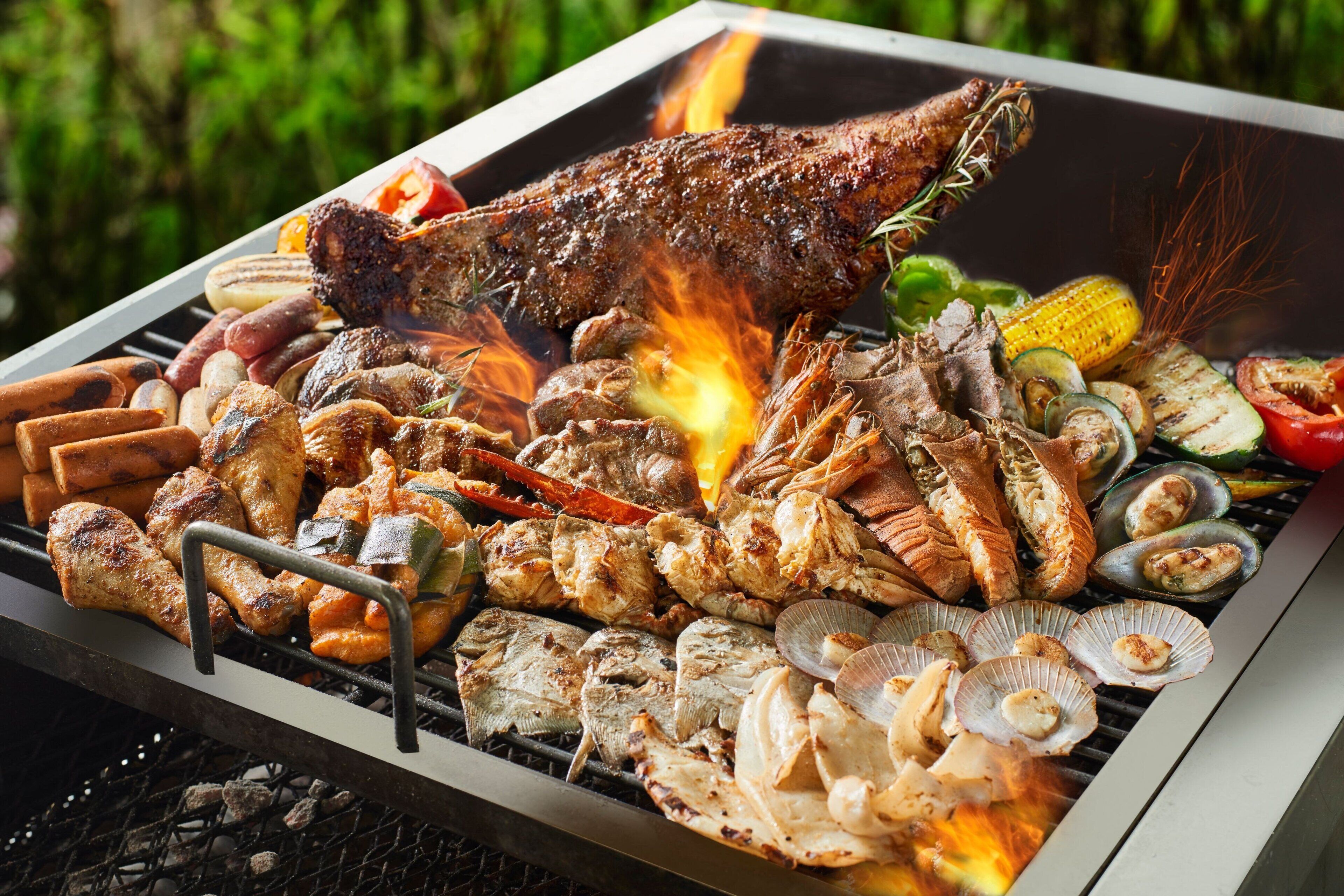 Kawasan BBQ/berkelah
