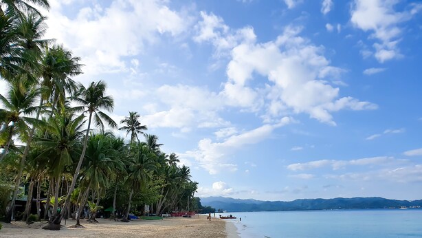 Una playa con palmeras y cielo despejado.