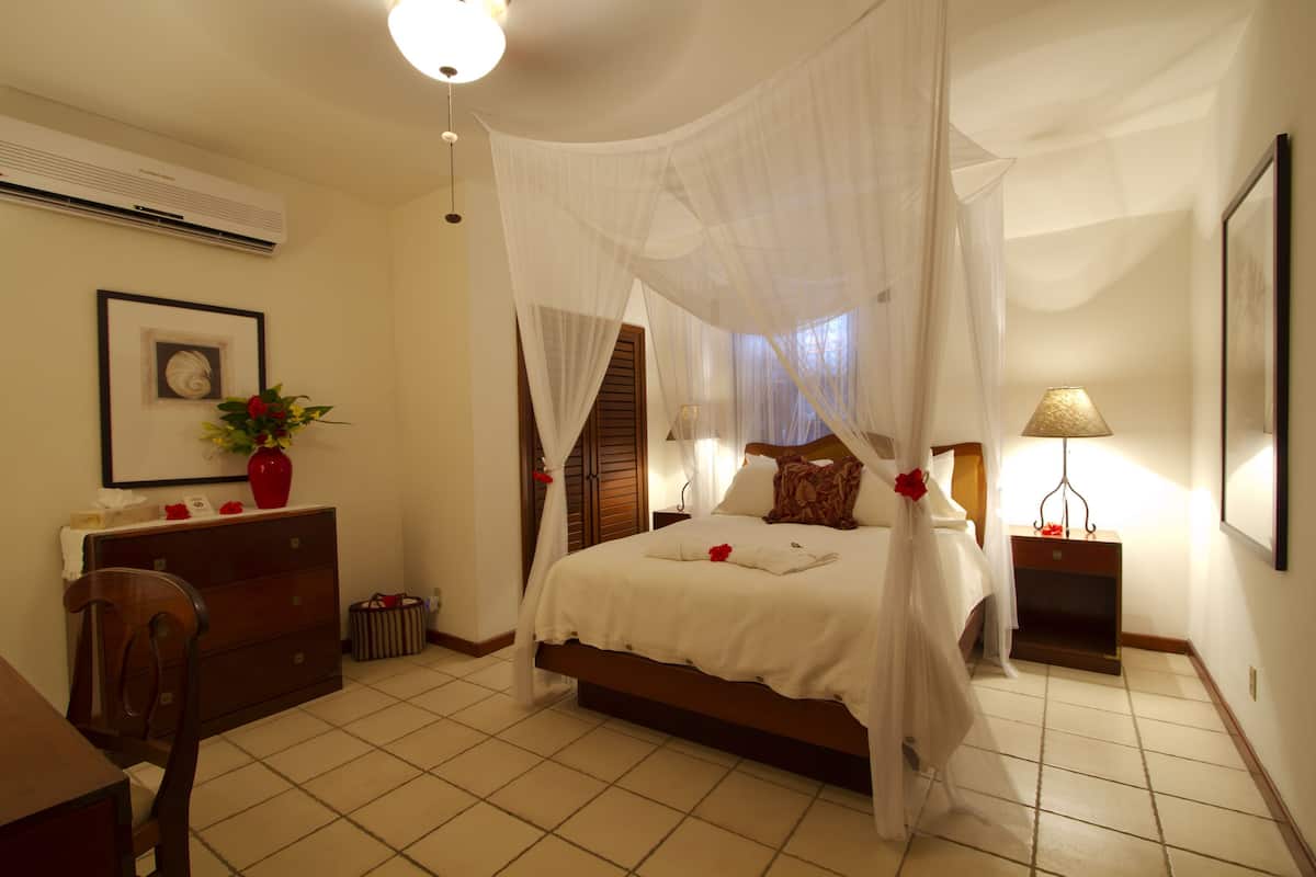 A bedroom with a bed under a canopy, a bedside table with a lamp, a dresser, a chair, and a potted plant.