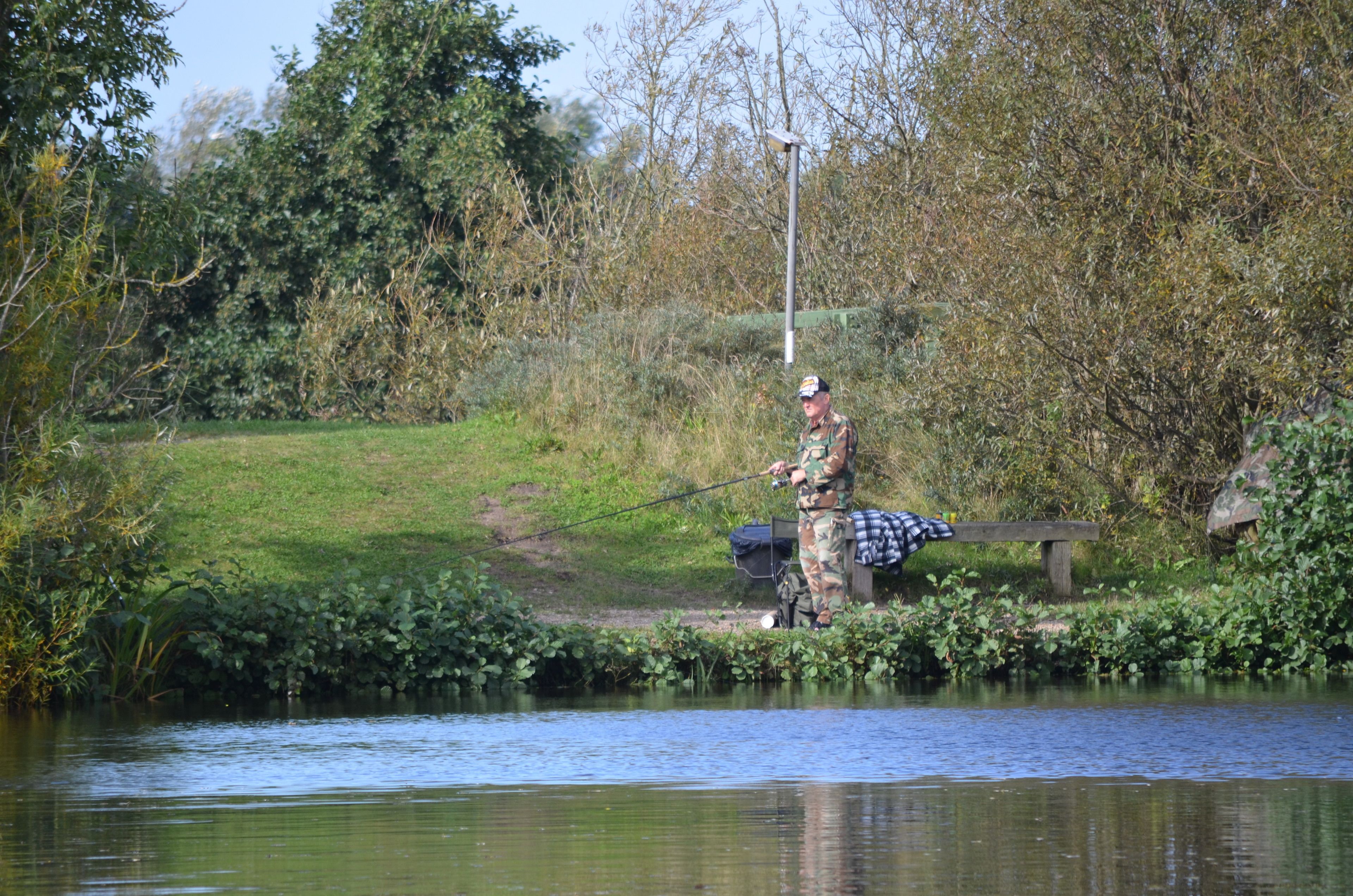 Una persona pescando en un río tranquilo, con un banco y follaje de fondo.