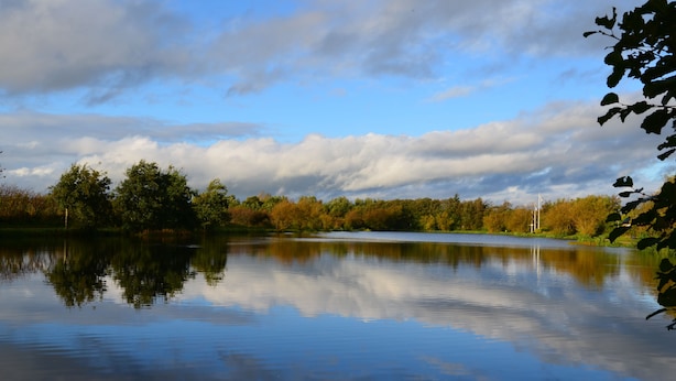 A calm lake with trees reflecting in the water, surrounded by a forest. - Storkesøen Ribe (Ribe)