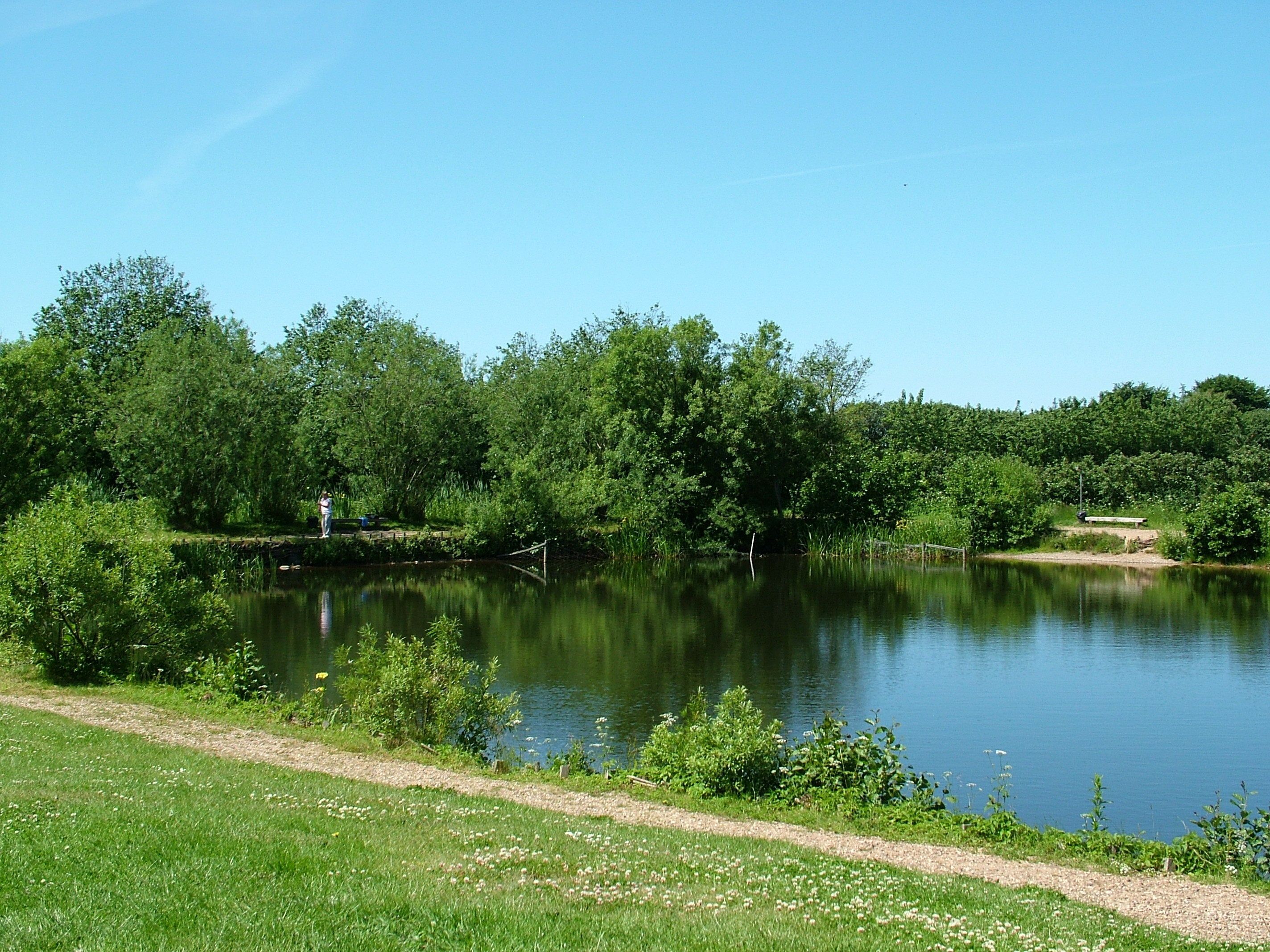 Tasik