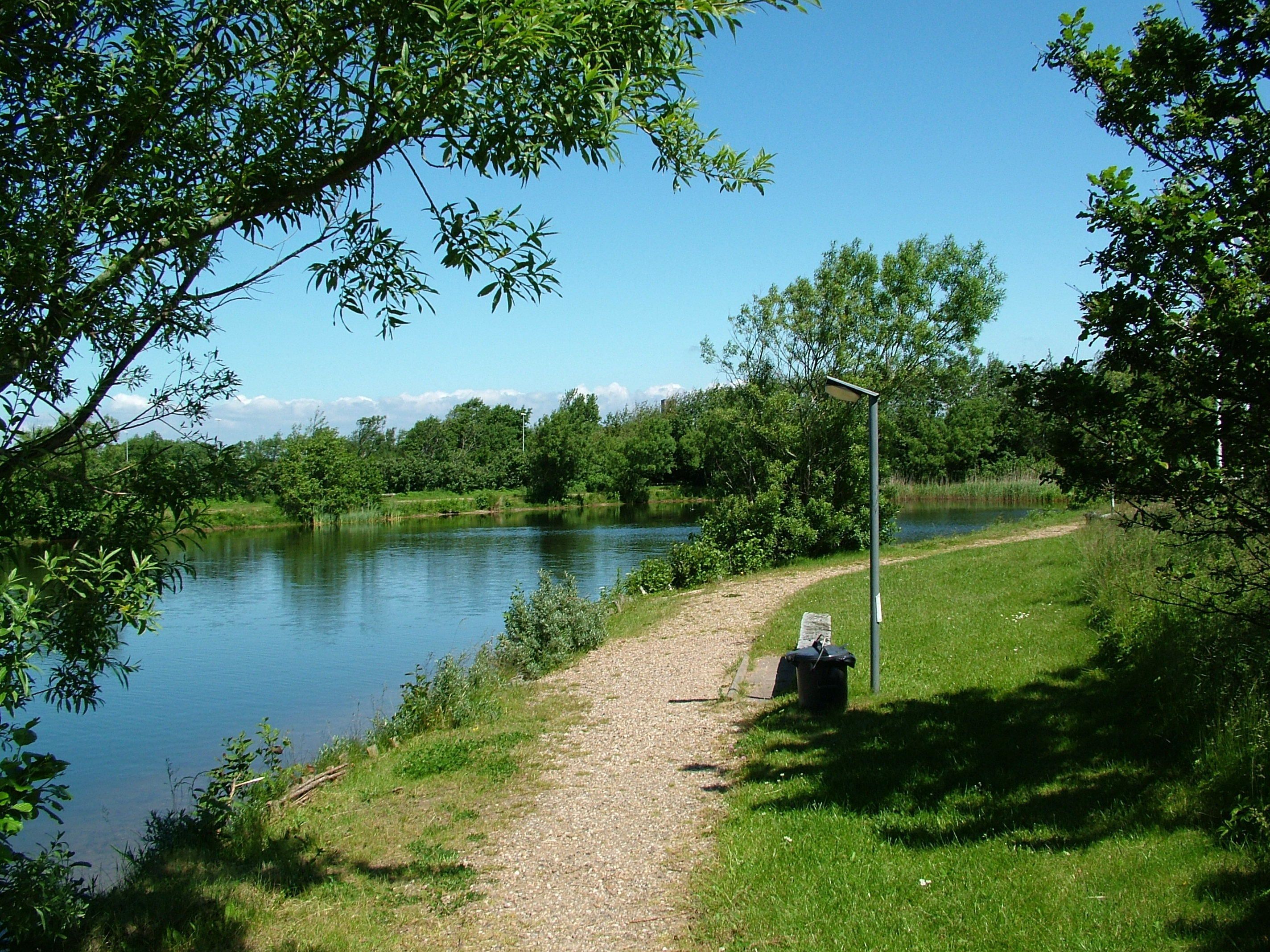 Un sendero de grava al lado de un lago tranquilo, rodeado de exuberante follaje y árboles.