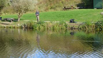 A tranquil outdoor setting with a pond, a picnic table, and a small shed.