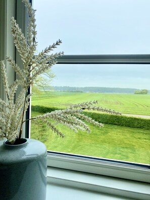 A window with a view of a green field and a hedge.