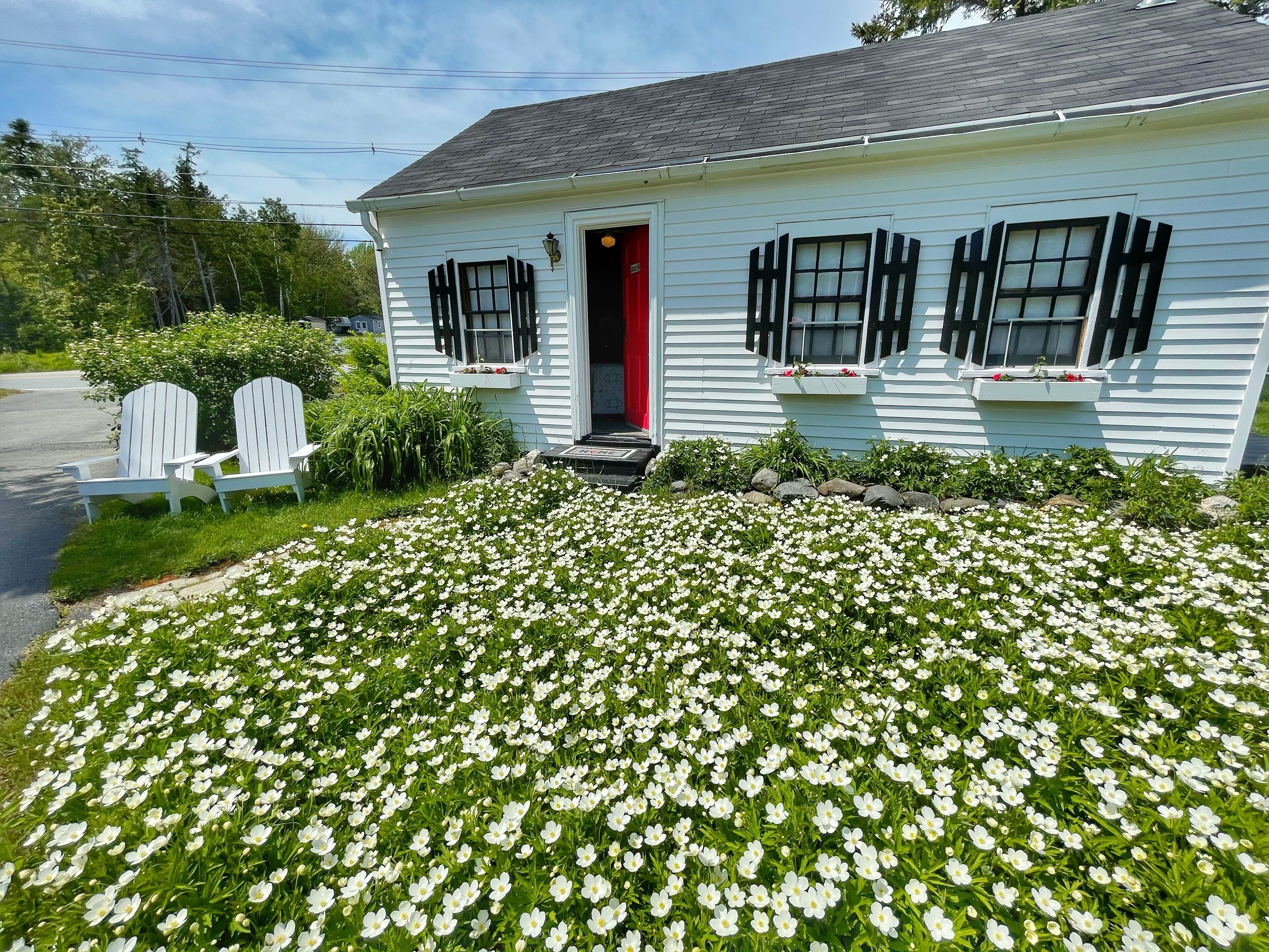acadia cottage in the heart of maine | iron/ironing board, free wifi